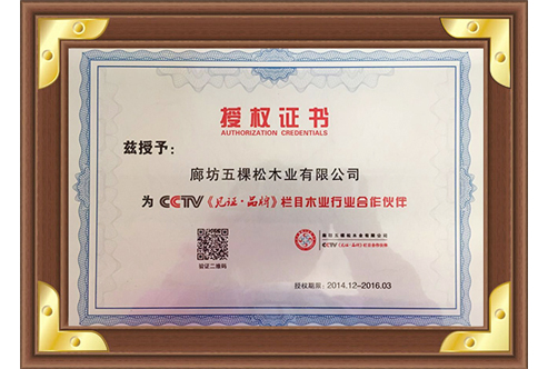 CCTV《品牌 · 见证》栏目木业行业合作伙伴